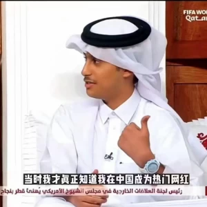卡塔尔世界杯：馄饨皮小王子戴什么表？王子同款手表