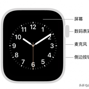 苹果手表有什么功能？（苹果手表12个功能介绍）