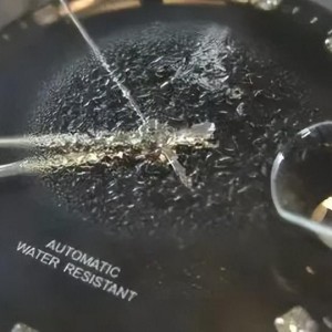 手表进水了维修费用需要多少钱（手表损坏常见维修费用分析）