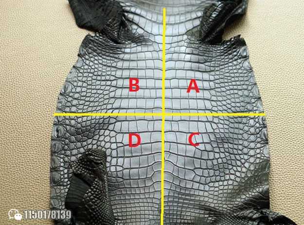 解析鳄鱼皮表带市场的各种猫腻-第16张图片